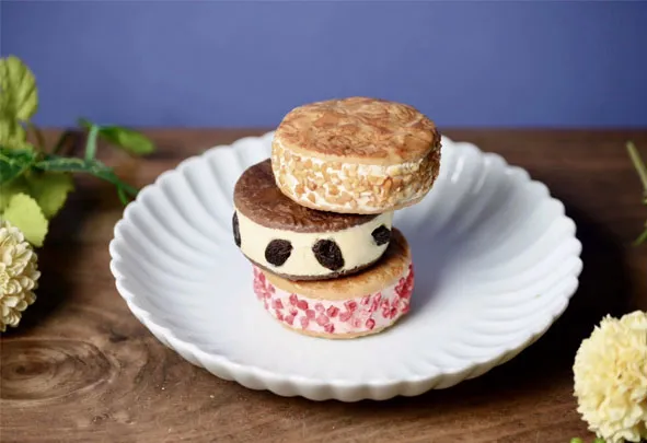 キラキラヒカル